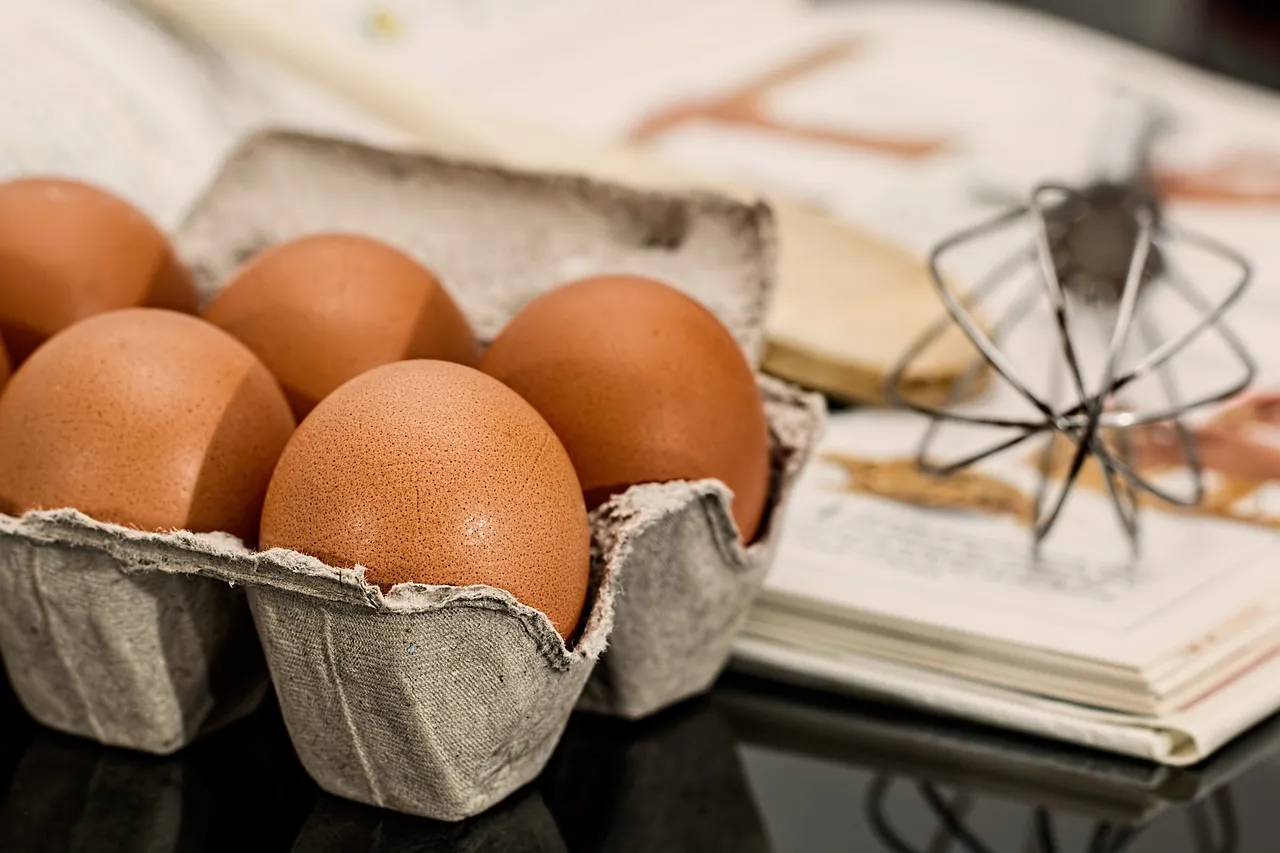 Kandungan Nutrisi Telur Ayam Kampung yang Perlu Diketahui - Featured Image