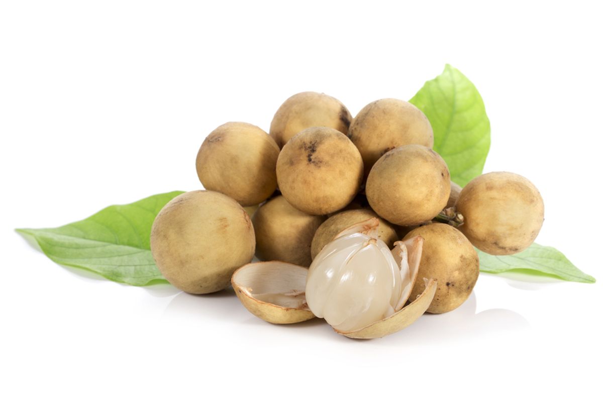12 Terbaru Manfaat Makan Buah Duku Untuk Kesehatan Tubuh