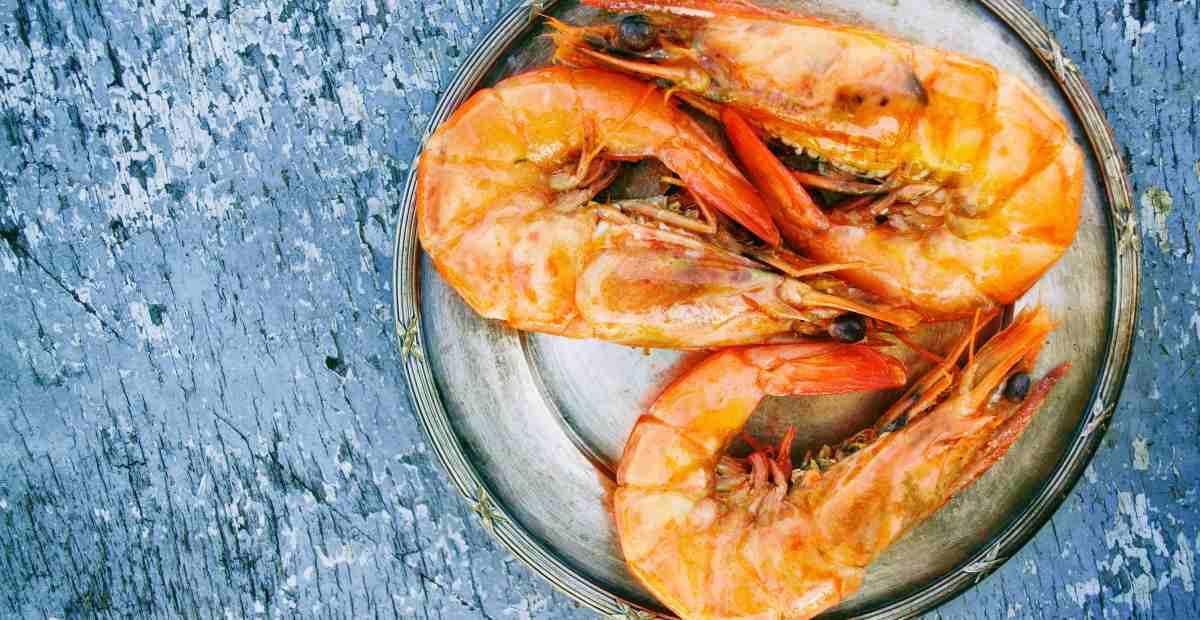 8 Khasiat Terbaru Manfaat Makan Udang Untuk Kesehatan 2024