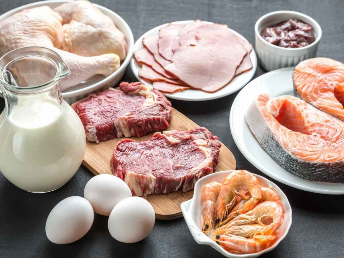 15 Baru Jenis Makanan Protein Wajib Konsumsi Untuk Tubuh