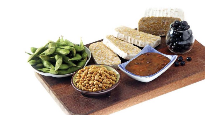 jenis makanan bahan kedelai